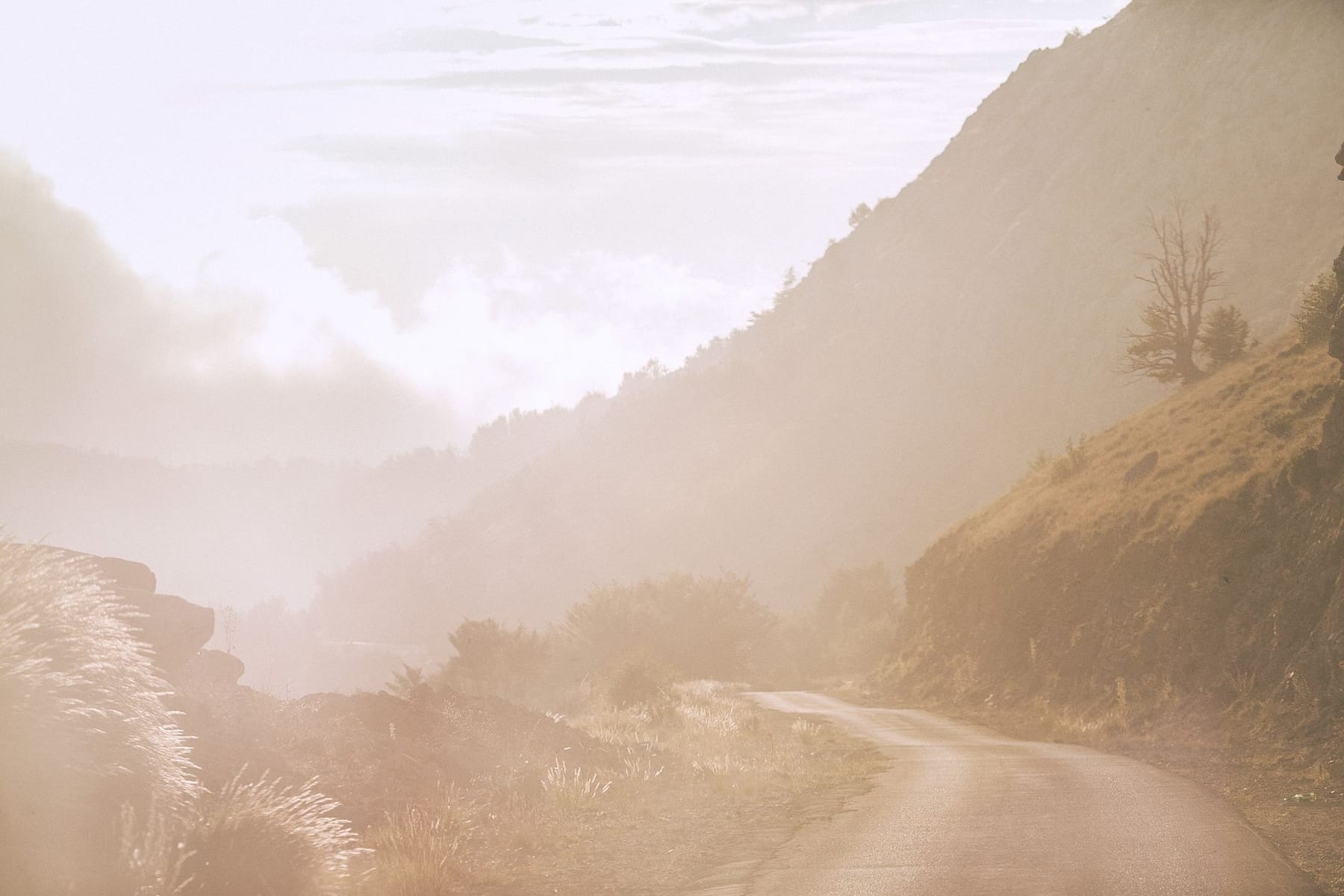 Misty mountain road winding through a foggy valley