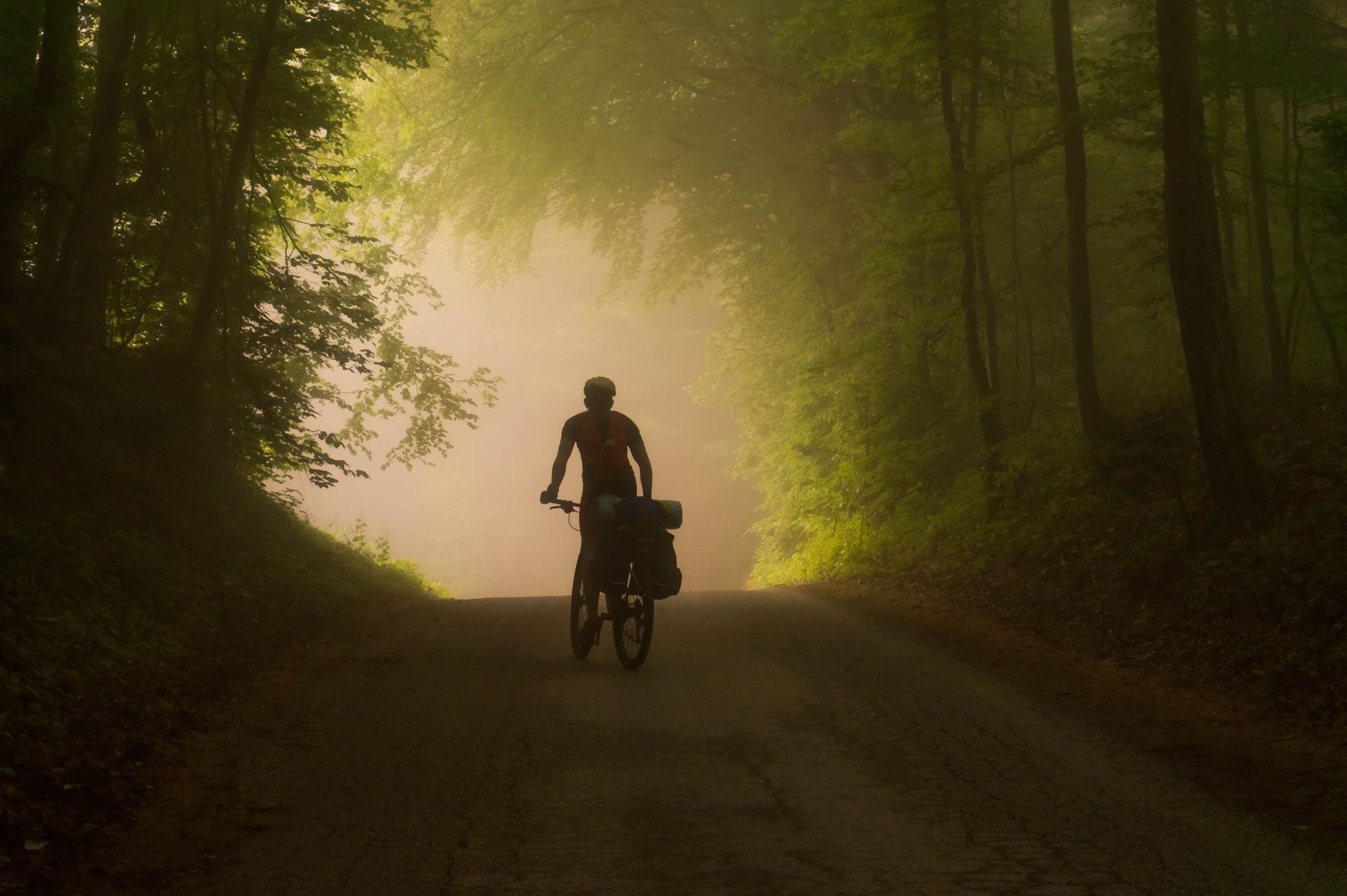 Cyclist riding through a misty forest at dawn